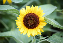 手机号在线轰炸