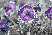 不限设备安装的轰炸手机短信网站